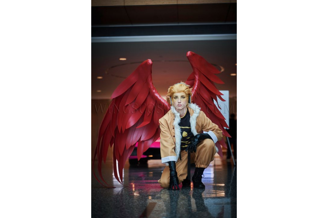 Buy realistic cosplay wings costume